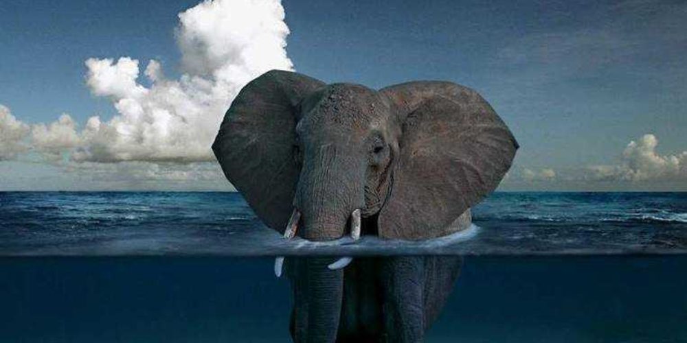 Слоны Геническа: гости из ледникового периода
